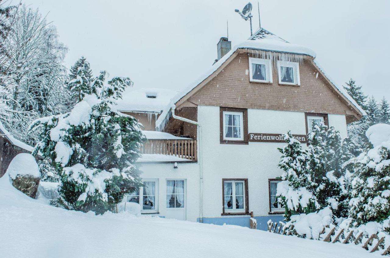 Schwarzwald Apartments Im Haus Tanneck - Feldberg - Titisee 外观 照片